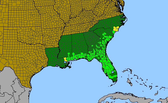 The range of Pinguicula lutea
